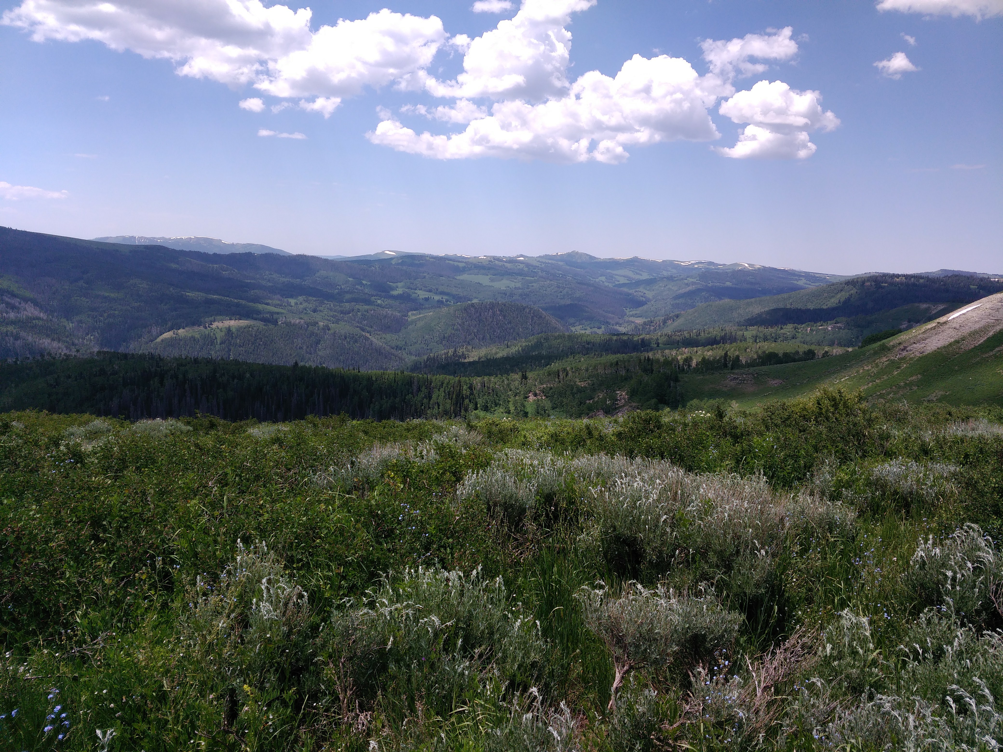 Kamas Mountains